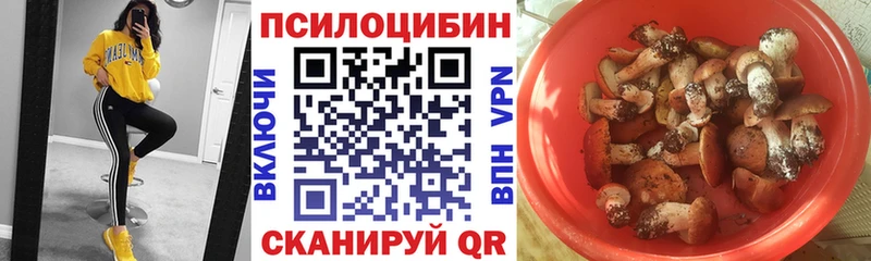 хочу   Уржум  ОМГ ОМГ ссылки  Галлюциногенные грибы Psilocybine cubensis 